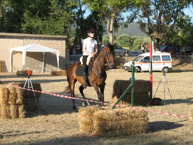 Gimkana a cavallo