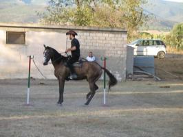 sarbuda(1206).html
