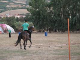 sarbuda(1317).html
