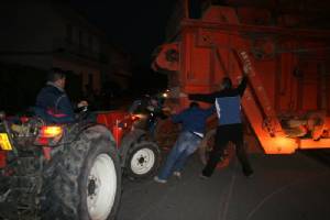 IMG_6598.jpg